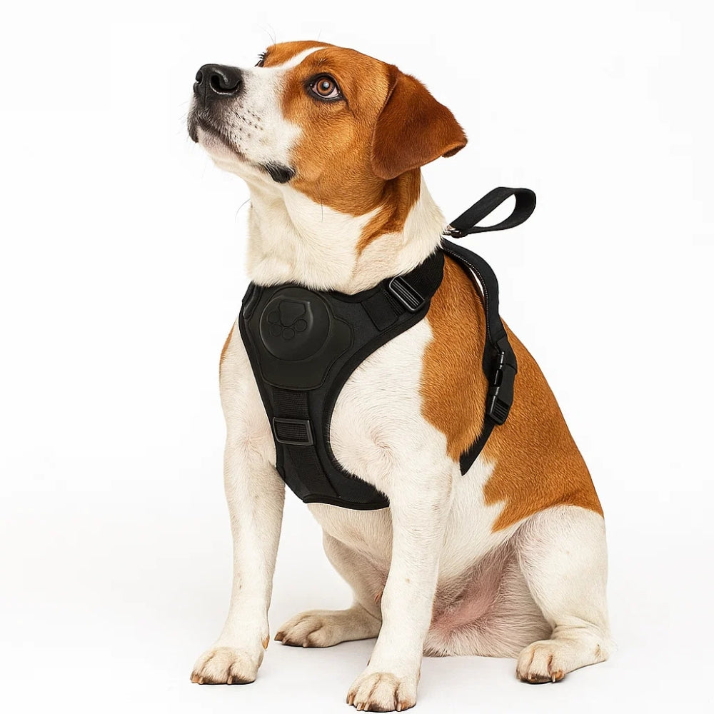 Pettorina per Cani con Cinghie Regolabili