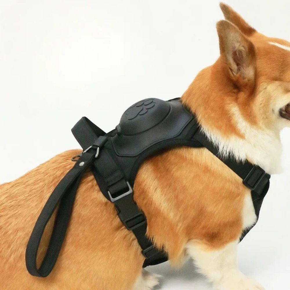 Pettorina per Cani con Cinghie Regolabili